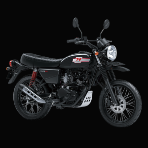 KAWASAKI W 175