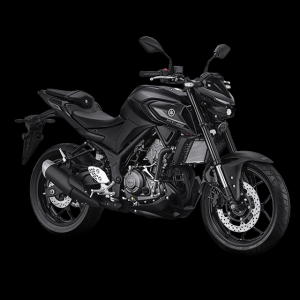 YAMAHA MT25