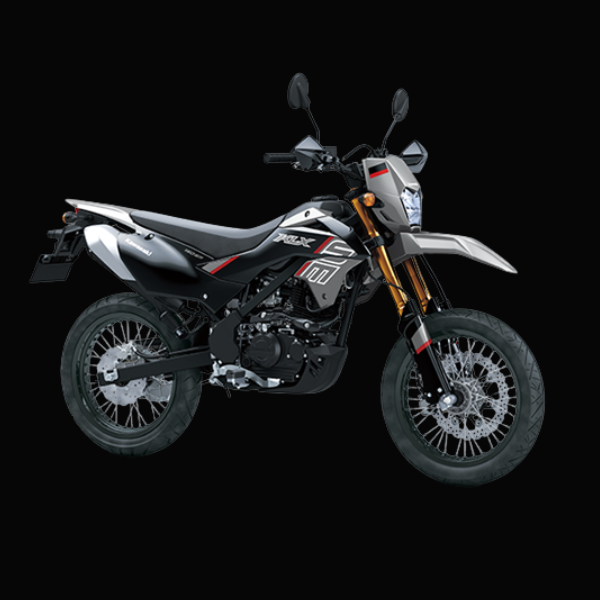KAWASAKI KLX150 SM & SM SE (SUPERMOTO) - Image 2
