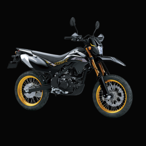 KAWASAKI KLX150 SM & SM SE (SUPERMOTO)
