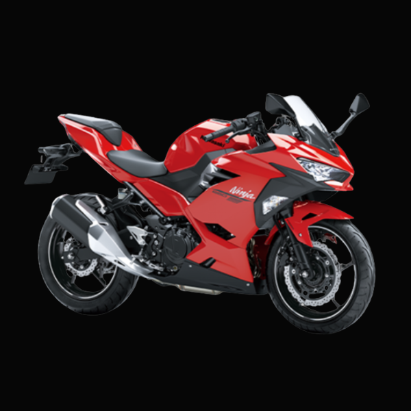 KAWASAKI NINJA 250 - Image 2