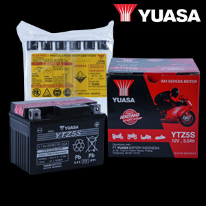 YUASA YTZ5-S